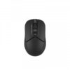 Миша бездротова A4Tech FB12 Black USB